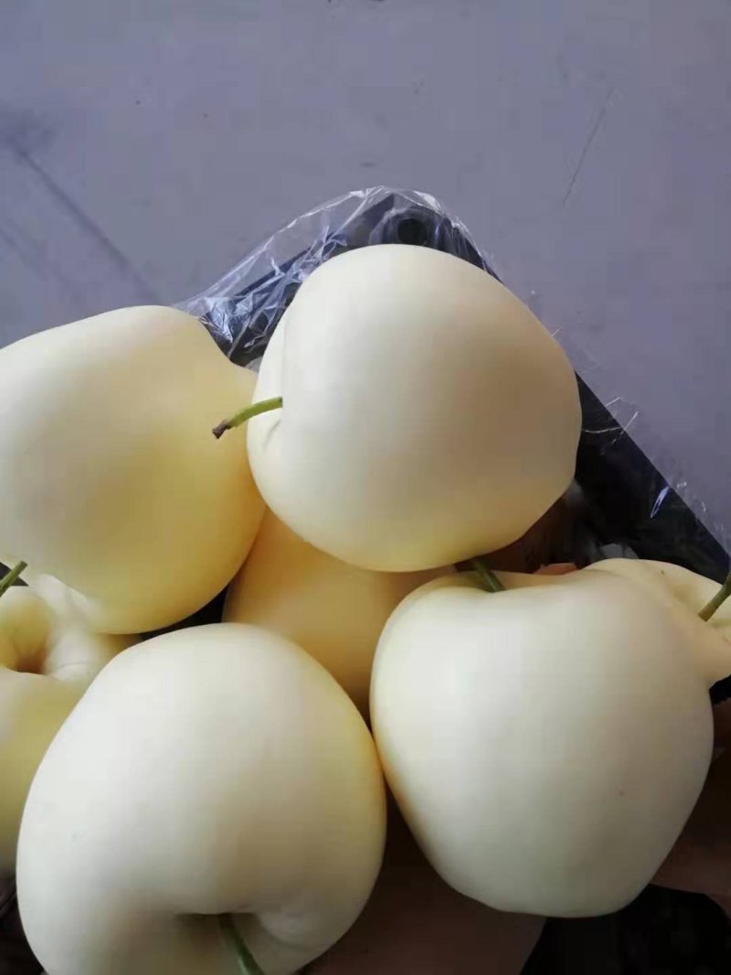 黄元帅苹果