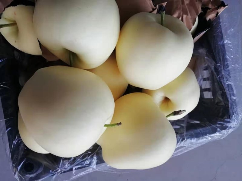黄元帅苹果