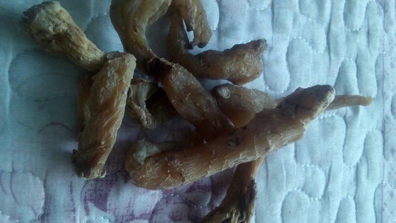 黄精，干统货