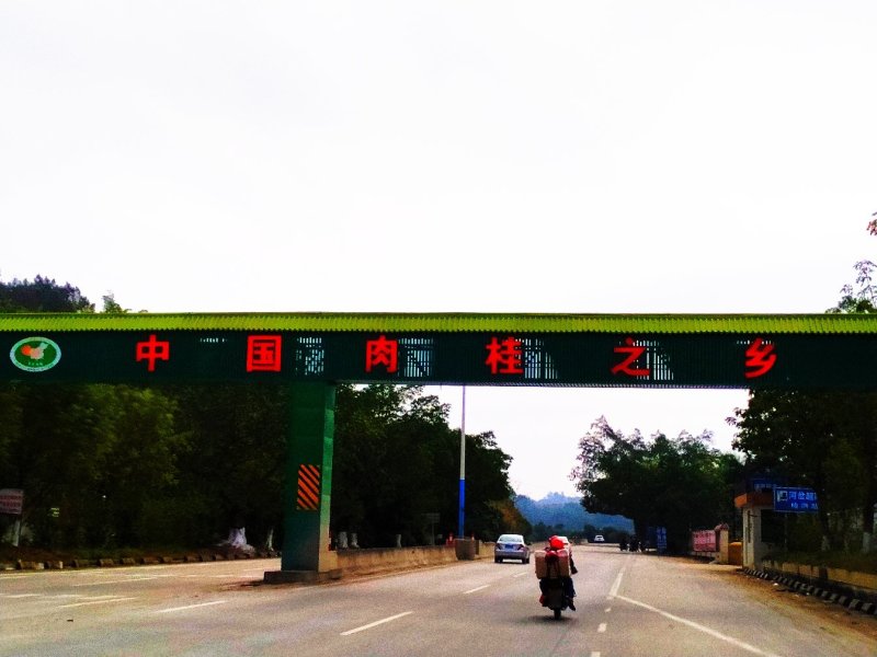 嗯，是不错的桂皮
