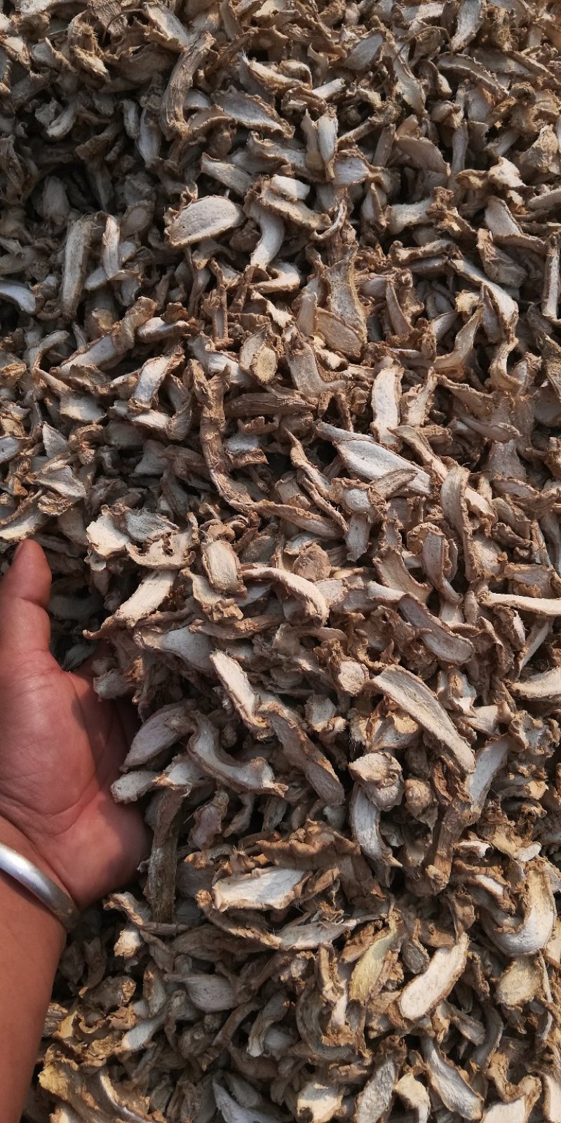 湖南小黄姜干片无硫药用食材