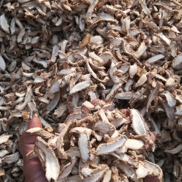 湖南小黄姜干片无硫药用食材
