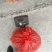 肺型草、中药材大瑶山一种中草药