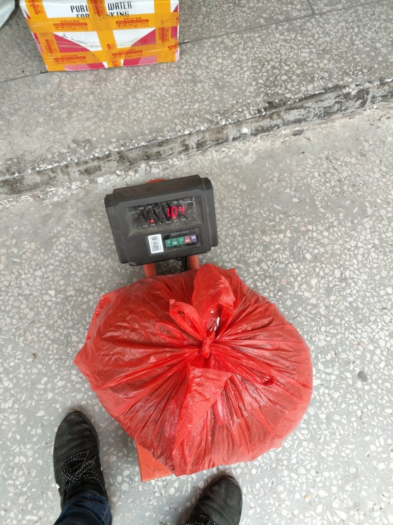 肺型草、中药材大瑶山一种中草药