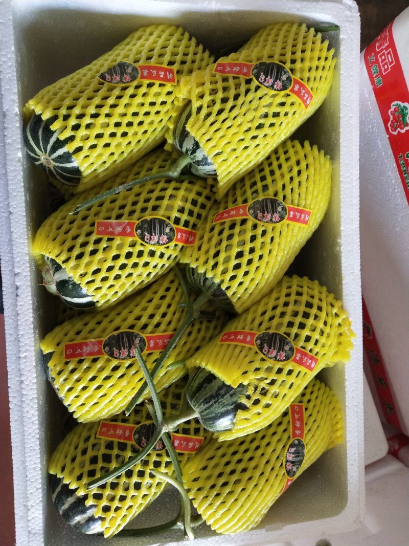 圣女果