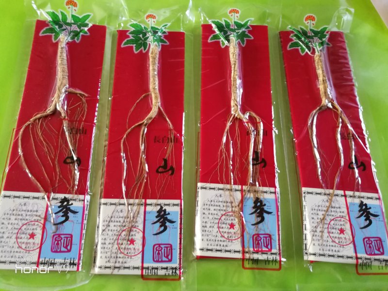 长白山林下参山参泡酒煲汤送礼东北土特产产地发货