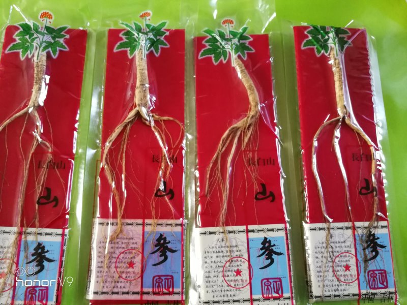 长白山林下参山参泡酒煲汤送礼东北土特产产地发货