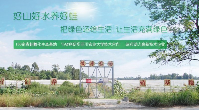 出售蛙苗蛙卵蝌蚪纯正优质价格低存活率高