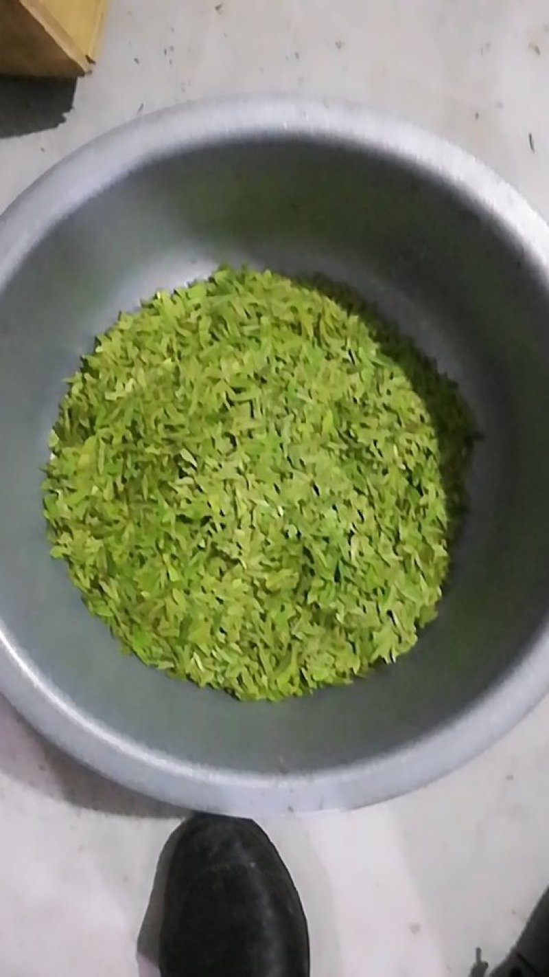 高山龙井，品种齐全，质量优越，需要的老板联系我