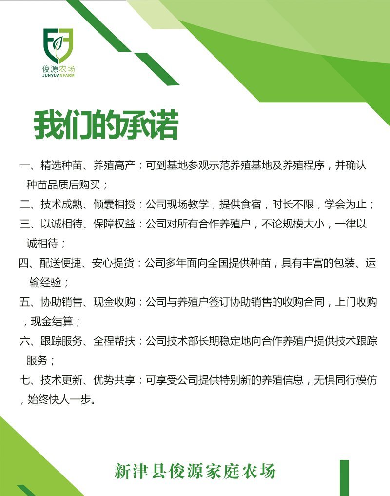 出售蛙苗蛙卵蝌蚪纯正优质价格低存活率高