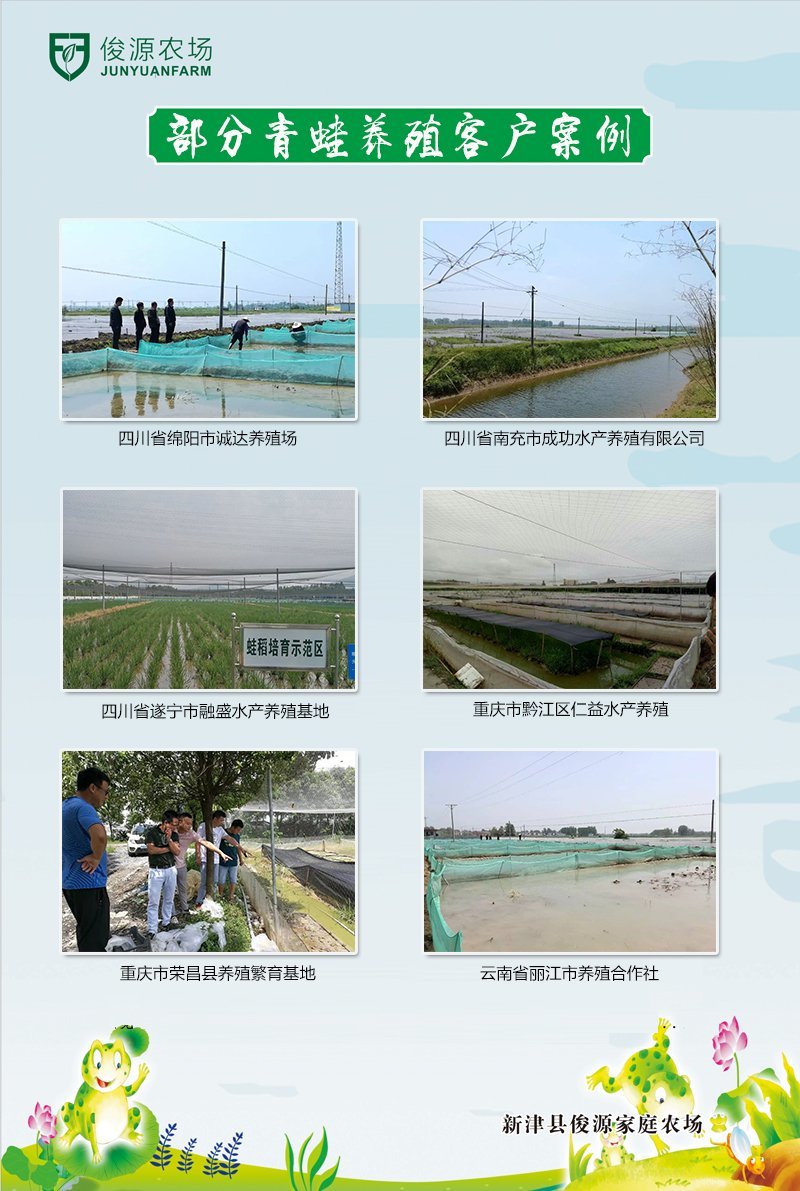 出售蛙苗蛙卵蝌蚪纯正优质价格低存活率高
