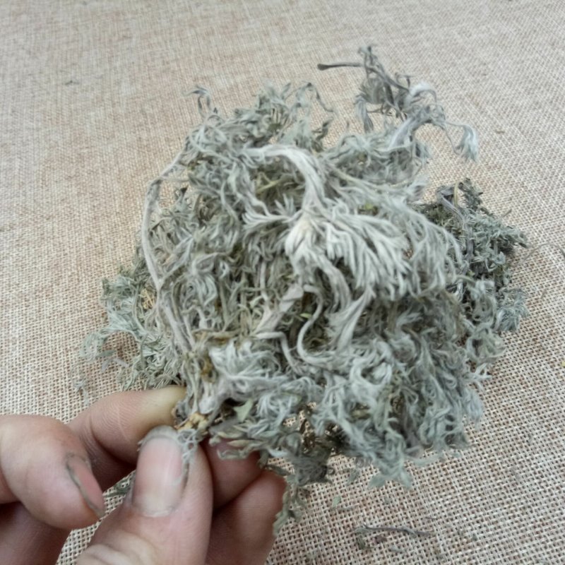 茵陈选装茵陈批发零售冷背中药材