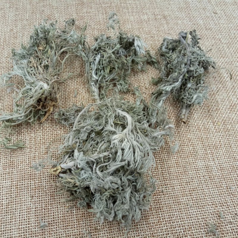 茵陈选装茵陈批发零售冷背中药材