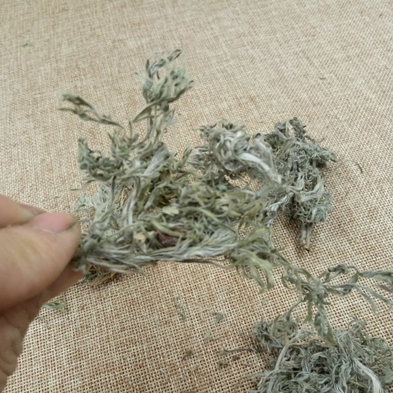 茵陈选装茵陈批发零售冷背中药材