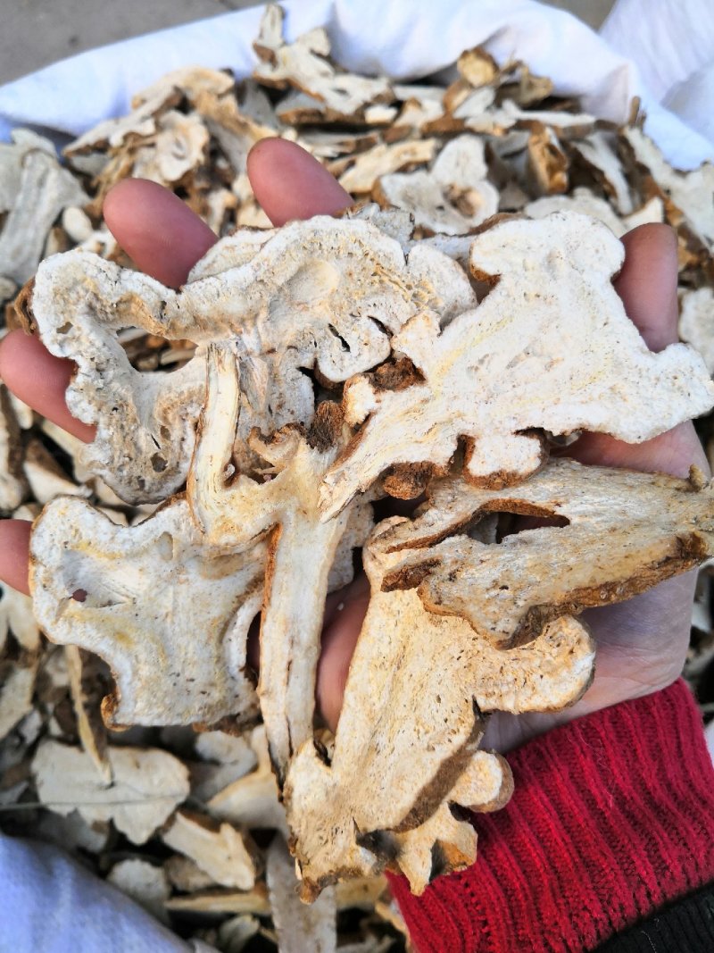 白术中药材新货白术片地道无添加正品保证产地直销中药材白术