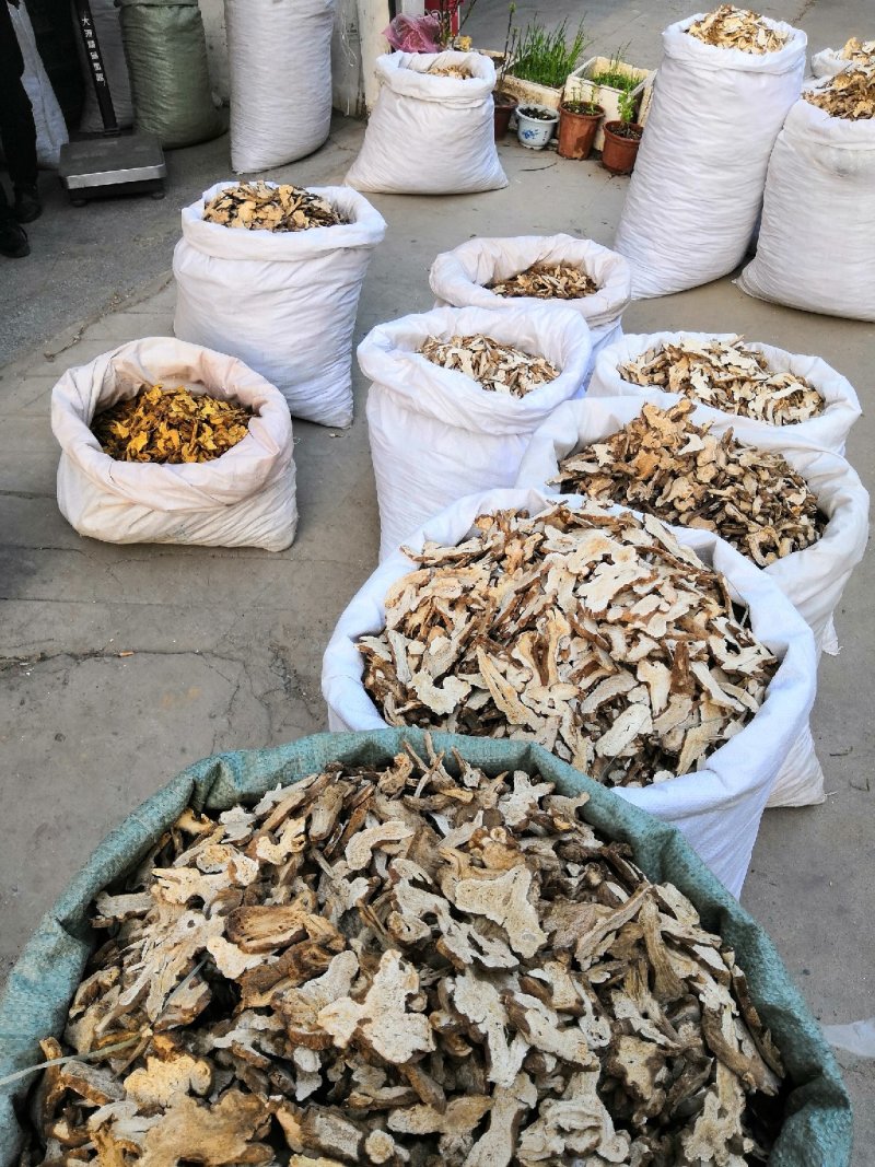 白术中药材新货白术片地道无添加正品保证产地直销中药材白术