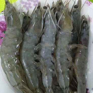 盐冻虾，冰冻虾，50-60,40-50,30-40