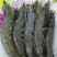 盐冻虾，冰冻虾，50-60,40-50,30-40