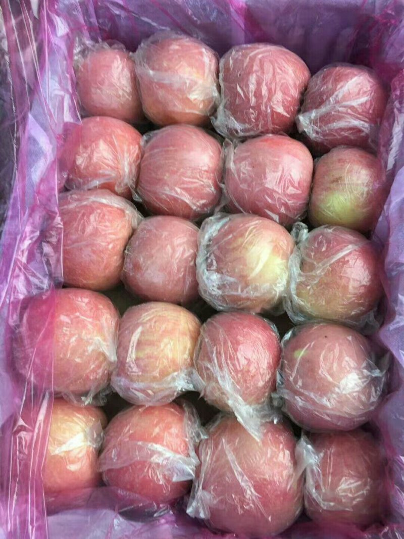 万荣纸加膜富士，大量上市，，价格合理。量大从优，可供超市