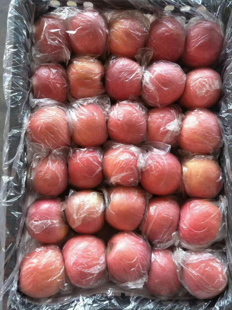 万荣纸加膜富士，大量上市，，价格合理。量大从优，可供超市