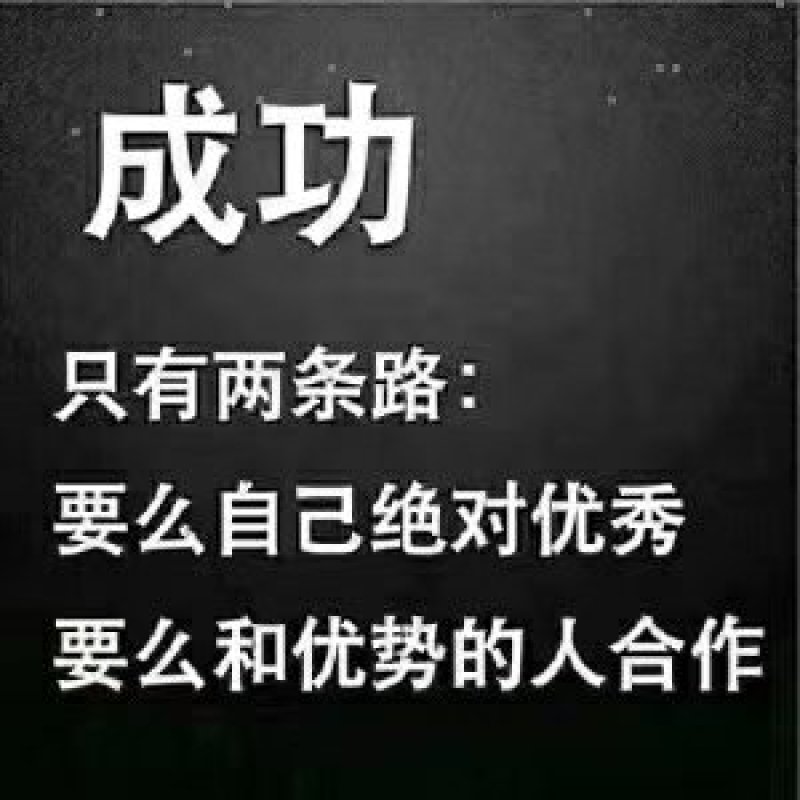 玉米种子