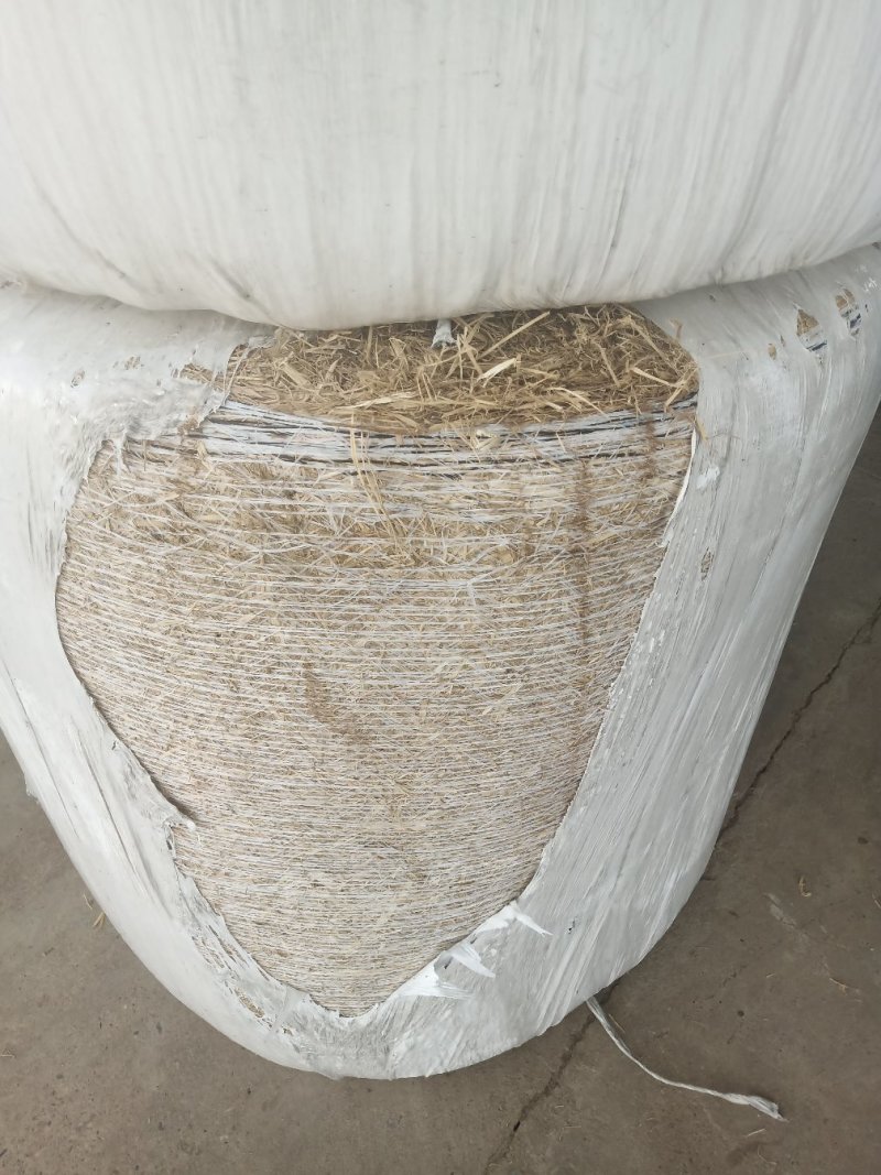 大量长期提供稻壳，全株玉米青储，干稻草。