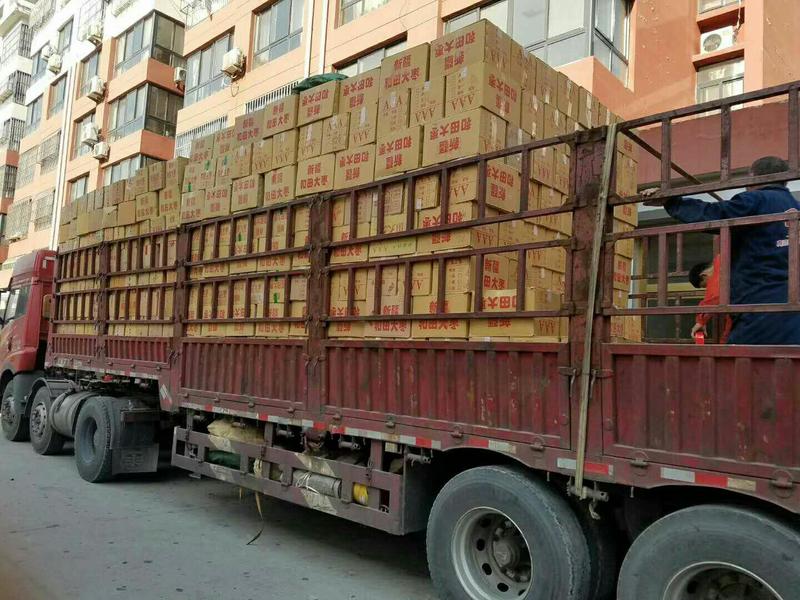 电商直播社区团购新疆红枣和田大枣厂家一件代发代打包装