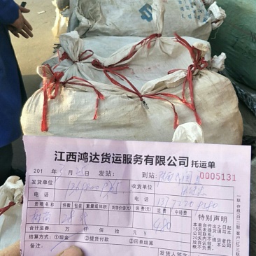 麦冬