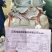 麦冬