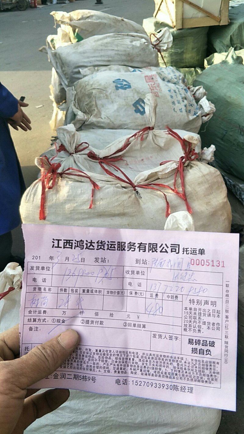 麦冬
