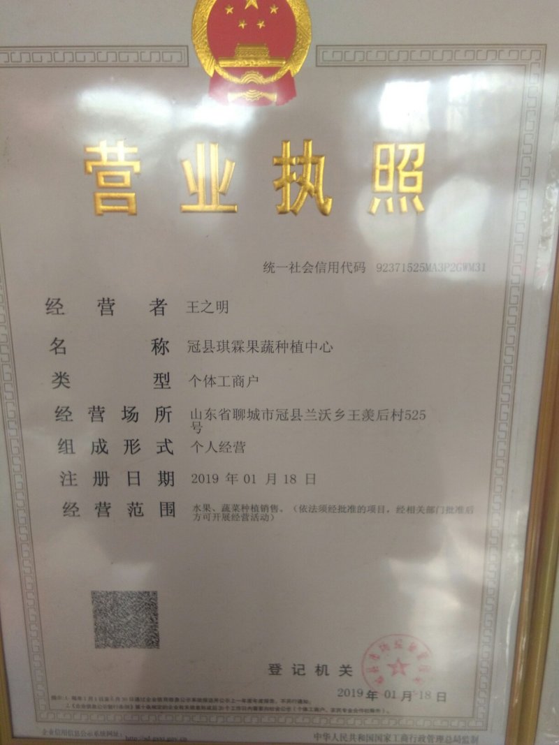 中油4号大油桃，表光鲜艳，口感脆甜，适应各大超市市场