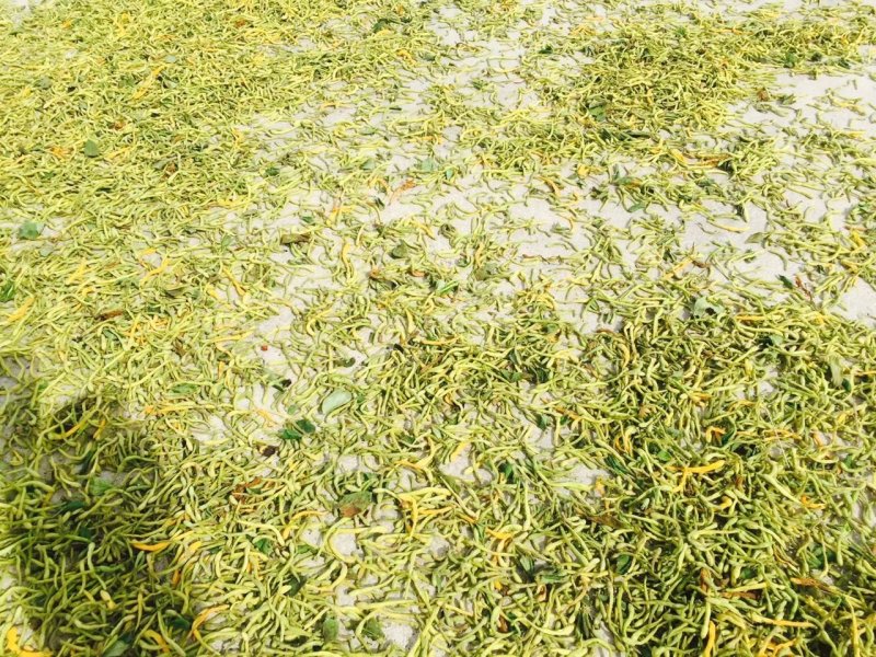 保健养生，金银花，银花。中药材。干货。种植。