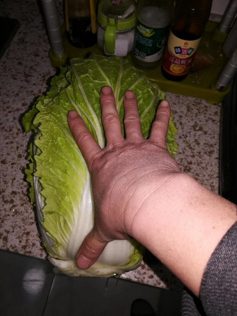 大白菜