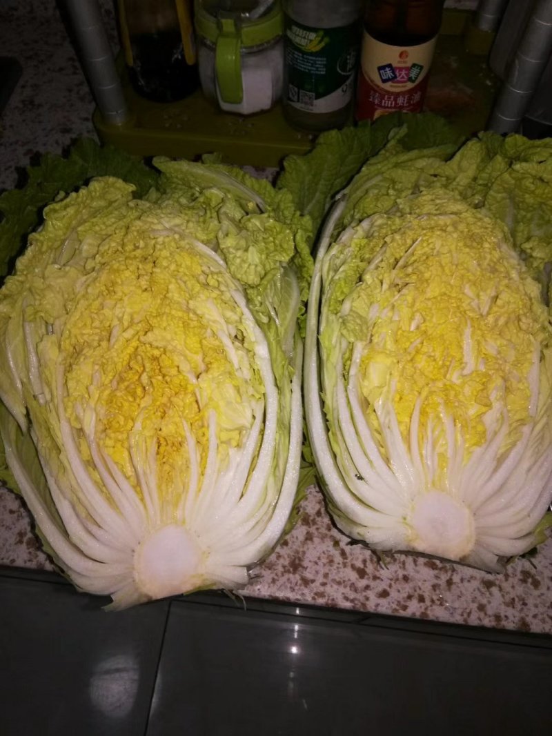 大白菜