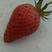 平度甜宝草莓，大量有货，价格美丽，支持视频验货，支持保证