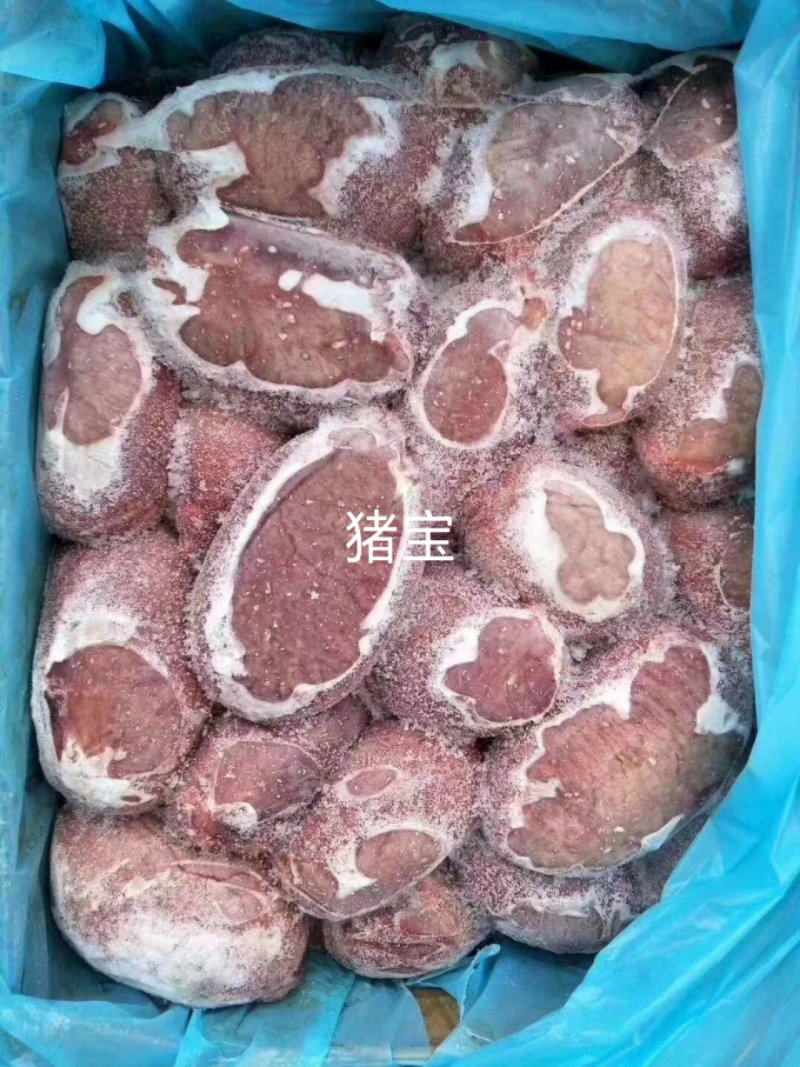 猪宝