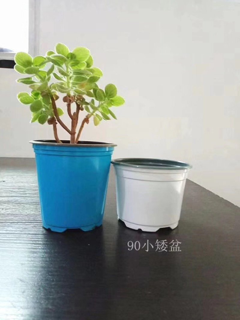 彩色盆