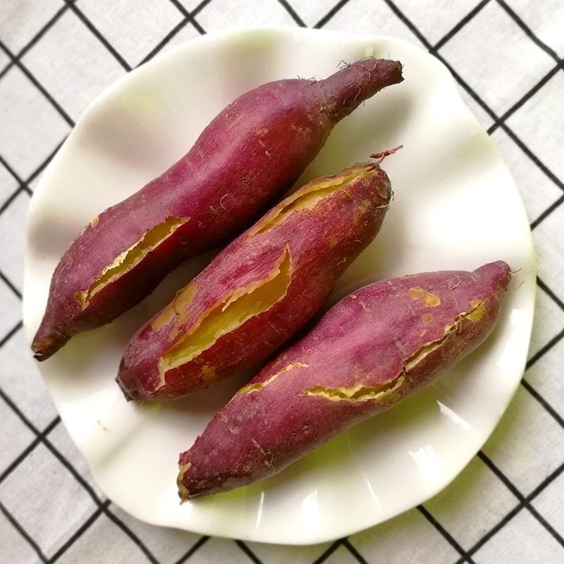 越南板栗薯