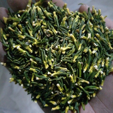 莲子芯特级绿条产地直销