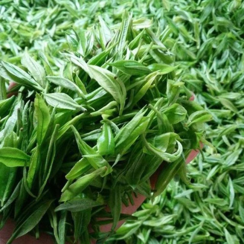 黄金茶