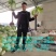 【精品】山东兰陵菊锦黄心大白菜开始上市，物美价廉！