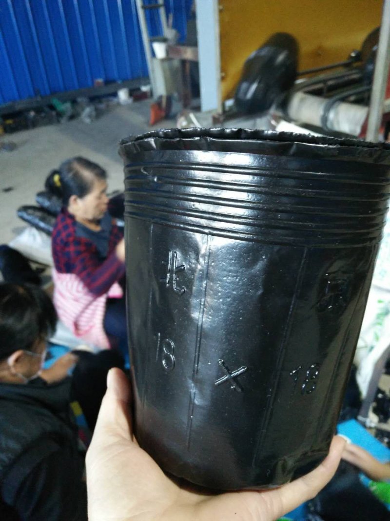 营养钵