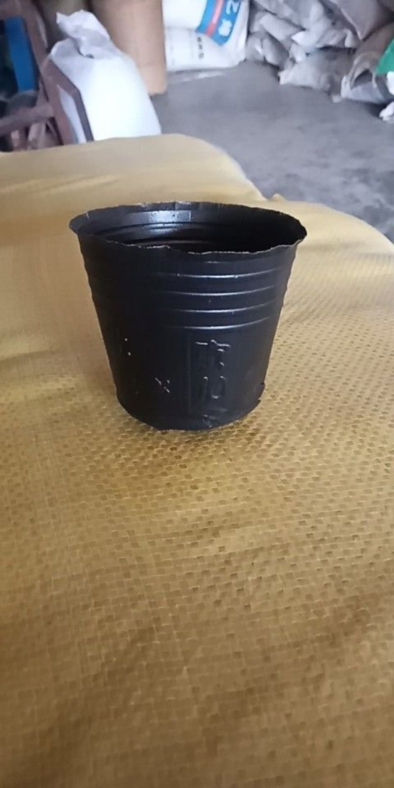 营养钵