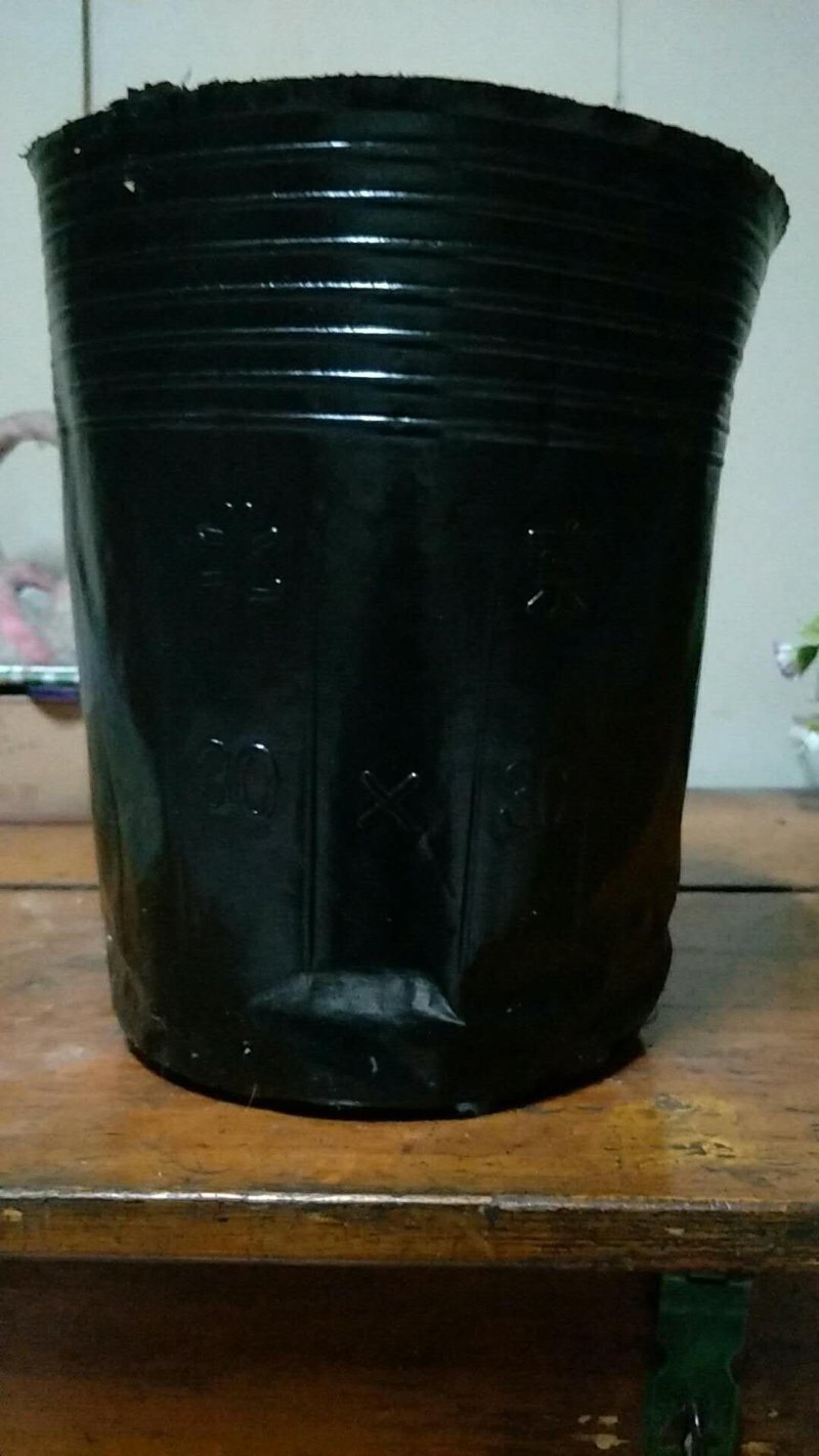 营养钵