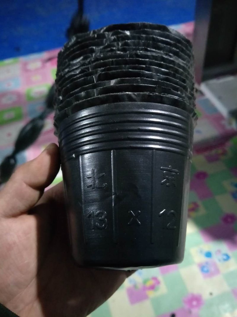 营养钵