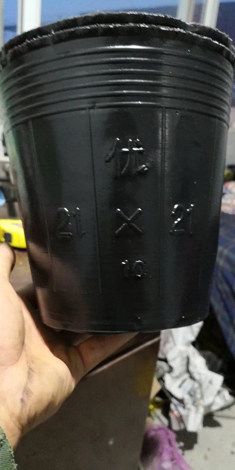 营养钵