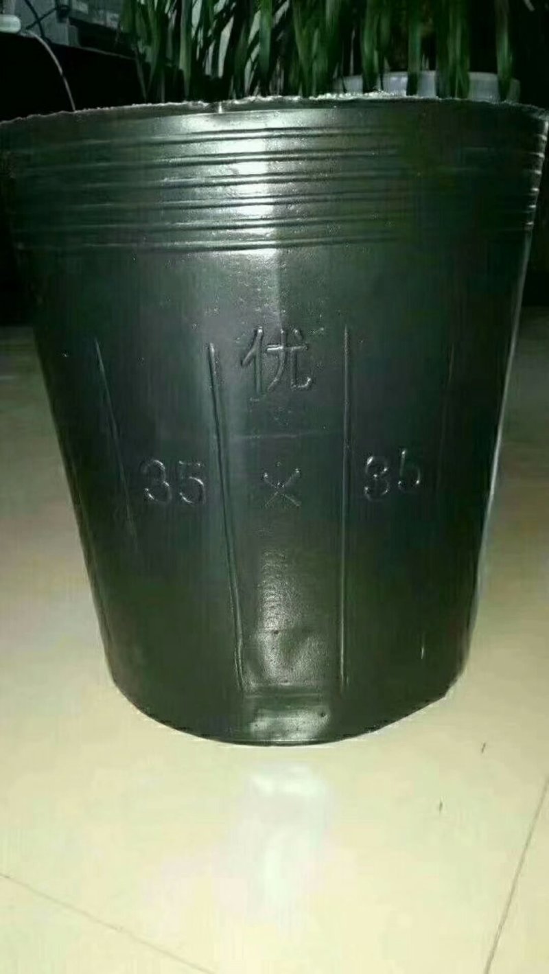 营养钵