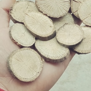 青风藤，产地一手货源接各种规格订单