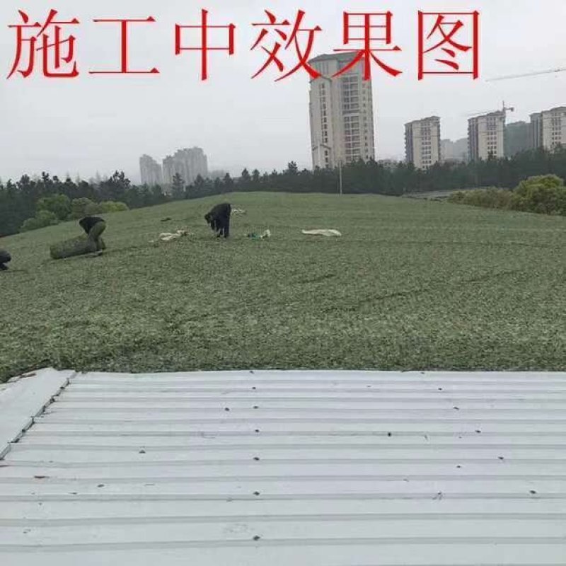 伪装网违建航拍防护网户外迷彩防晒网