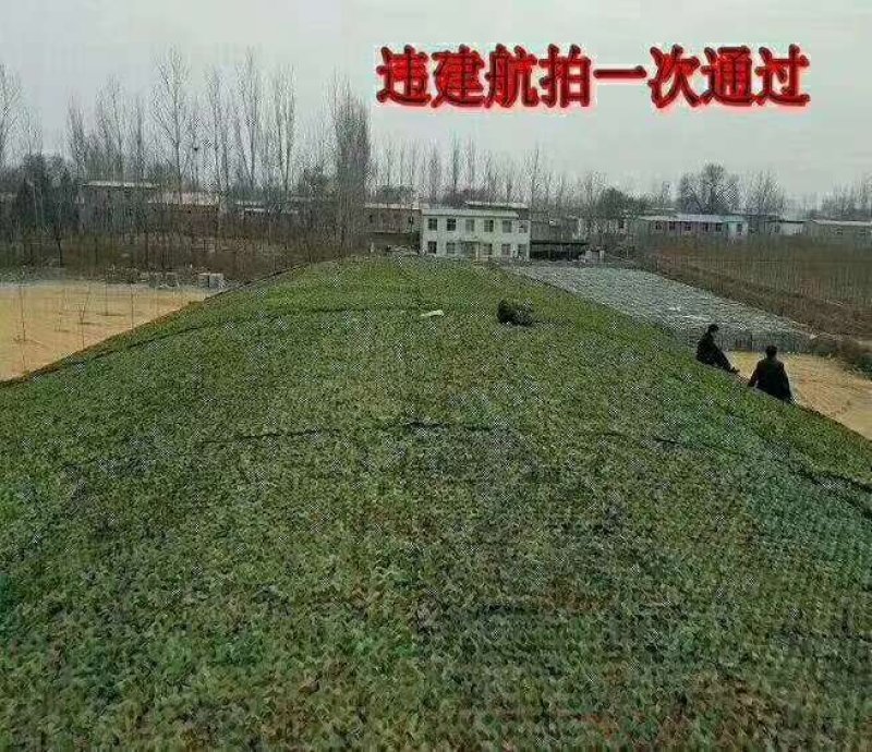 伪装网违建航拍防护网户外迷彩防晒网